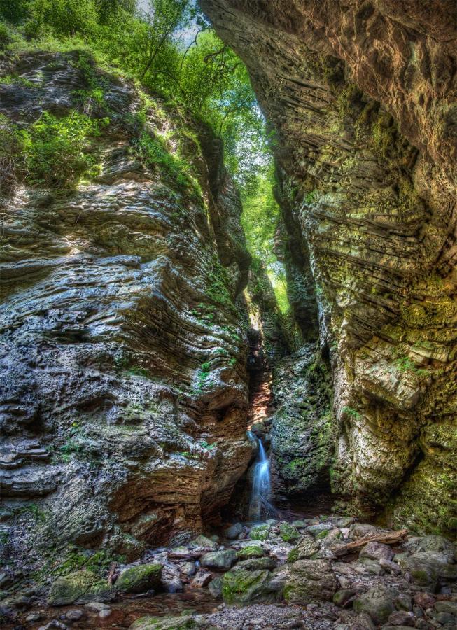 فندق Glamping Kranjc كوباريد المظهر الخارجي الصورة
